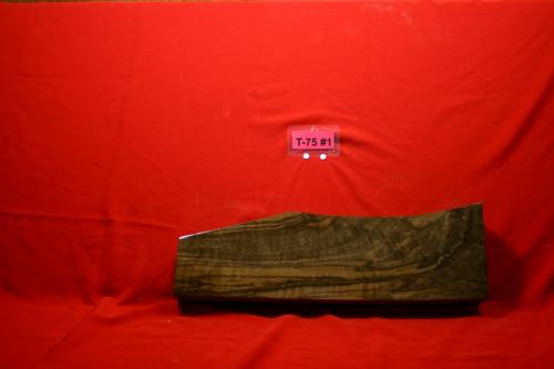 T75-01B